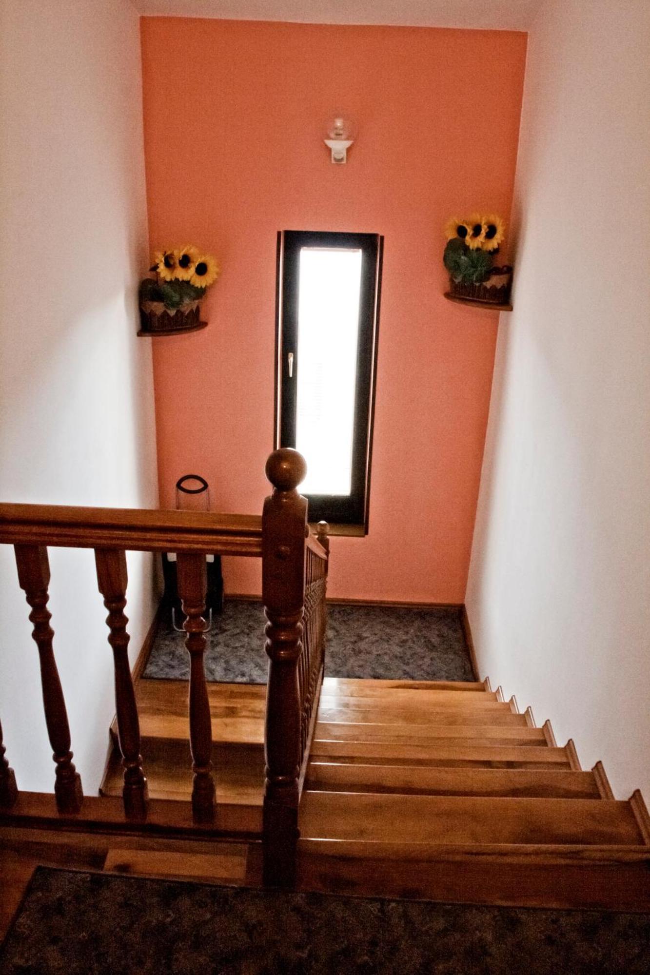 Ap Silvija Apartamento Zadar Exterior foto